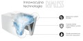 STELAŻ GEBERIT PRZYCISK MATA MISA WC RIMLESS VELDMAN